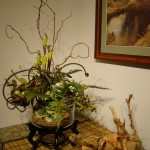 04 - Photo Copyright ©2010 Michael A. Hasco.  All Rights Reserved.