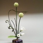 034 - Photo Copyright ©2010 Michael A. Hasco.  All Rights Reserved.